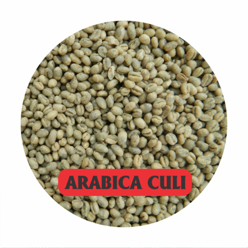 ARABICA CULI