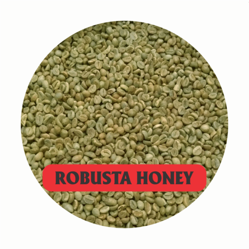cà phê Robusta Honey