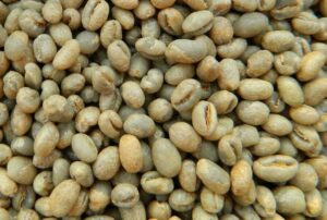 cà phê Robusta Culi