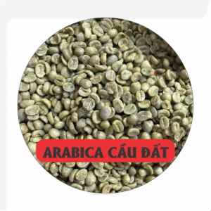 cà phê Arabica nhân xanh Cầu Đất