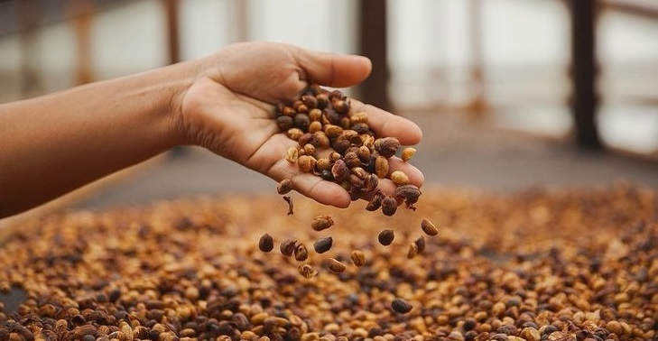 cafemay.com.vn
